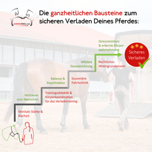 Laden Sie das Bild in den Galerie-Viewer, 🐎☯🥳 MEGA Doppel-Bundle: Skool-JAHRES-Zugang zur umfassenden Pferde-Plattform & Community & Online-Trainings-Intensivseminar Kreatives Balancetraining & Verladen inkl. GOLD-Coachingplatz 🎁