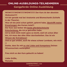 Laden Sie das Bild in den Galerie-Viewer, 🐎😍 Neue gesundheitsfördernde Gangpferde Online-Ausbildung ✨