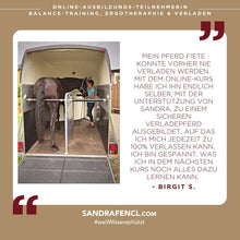 Laden Sie das Bild in den Galerie-Viewer, 🐎☯🥳 MEGA Doppel-Bundle: Skool-JAHRES-Zugang zur umfassenden Pferde-Plattform & Community & Online-Trainings-Intensivseminar Kreatives Balancetraining & Verladen inkl. GOLD-Coachingplatz 🎁