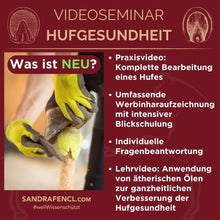 Laden Sie das Bild in den Galerie-Viewer, Videoseminar Praxiswissen Hufgesundheit Special-Edition: Was Du als Pferdefreund über Hufe unbedingt wissen solltest!