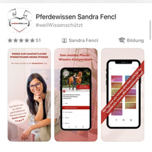 Laden Sie das Bild in den Galerie-Viewer, 🐎✨ Online-Ausbildung in zirzensischer Gymnastik - Silber-Geschenk-EDITION 🎁✨