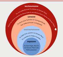 Laden Sie das Bild in den Galerie-Viewer, 🐎 ✨ Freizeitreiter-Online-Akademie 3.0: SELBSTLERN-Edition