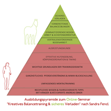 Laden Sie das Bild in den Galerie-Viewer, 🐎☯🥳 MEGA Doppel-Bundle: Skool-JAHRES-Zugang zur umfassenden Pferde-Plattform & Community & Online-Trainings-Intensivseminar Kreatives Balancetraining & Verladen inkl. GOLD-Coachingplatz 🎁