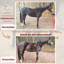 Laden Sie das Bild in den Galerie-Viewer, 🐎🎉💖 Doppel-Bundle: Ganzheitliches Bodenarbeits-Intensiv-Onlineseminar & 6 Monate Skool-Gesundheit ☯🎁 SILBER-Coaching-Edition ✨