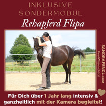 Laden Sie das Bild in den Galerie-Viewer, 🐎😍 Neue gesundheitsfördernde Gangpferde Online-Ausbildung ✨