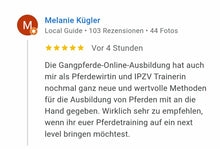 Laden Sie das Bild in den Galerie-Viewer, 🐎😍 Neue gesundheitsfördernde Gangpferde Online-Ausbildung ✨