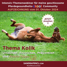 Laden Sie das Bild in den Galerie-Viewer, 🐎☯🥳 MEGA Doppel-Bundle: Skool-JAHRES-Zugang zur umfassenden Pferde-Plattform & Community & Online-Trainings-Intensivseminar Kreatives Balancetraining & Verladen inkl. GOLD-Coachingplatz 🎁