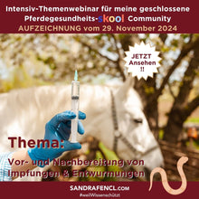 Laden Sie das Bild in den Galerie-Viewer, 🐎☯🥳 MEGA Doppel-Bundle: Skool-JAHRES-Zugang zur umfassenden Pferde-Plattform & Community & Online-Trainings-Intensivseminar Kreatives Balancetraining & Verladen inkl. GOLD-Coachingplatz 🎁