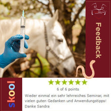 Laden Sie das Bild in den Galerie-Viewer, 🐎☯🥳 MEGA Doppel-Bundle: Skool-JAHRES-Zugang zur umfassenden Pferde-Plattform & Community & Online-Trainings-Intensivseminar Kreatives Balancetraining & Verladen inkl. GOLD-Coachingplatz 🎁
