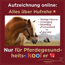 Laden Sie das Bild in den Galerie-Viewer, 🐎☯🥳 MEGA Doppel-Bundle: Skool-JAHRES-Zugang zur umfassenden Pferde-Plattform & Community & Online-Trainings-Intensivseminar Kreatives Balancetraining & Verladen inkl. GOLD-Coachingplatz 🎁