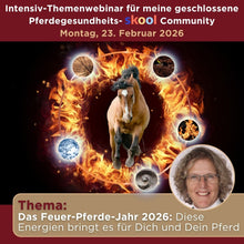 Laden Sie das Bild in den Galerie-Viewer, 🐎😍 Neue gesundheitsfördernde Gangpferde Online-Ausbildung ✨
