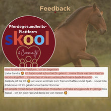Laden Sie das Bild in den Galerie-Viewer, 🐎☯🥳 MEGA Doppel-Bundle: Skool-JAHRES-Zugang zur umfassenden Pferde-Plattform & Community & Online-Trainings-Intensivseminar Kreatives Balancetraining & Verladen inkl. GOLD-Coachingplatz 🎁