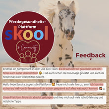 Laden Sie das Bild in den Galerie-Viewer, 🐎☯🥳 MEGA Doppel-Bundle: Skool-JAHRES-Zugang zur umfassenden Pferde-Plattform & Community & Online-Trainings-Intensivseminar Kreatives Balancetraining & Verladen inkl. GOLD-Coachingplatz 🎁