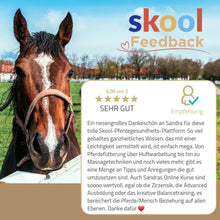 Laden Sie das Bild in den Galerie-Viewer, 🐎☯🥳 MEGA Doppel-Bundle: Skool-JAHRES-Zugang zur umfassenden Pferde-Plattform & Community & Online-Trainings-Intensivseminar Kreatives Balancetraining & Verladen inkl. GOLD-Coachingplatz 🎁