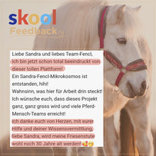 Laden Sie das Bild in den Galerie-Viewer, 🐎☯🥳 MEGA Doppel-Bundle: Skool-JAHRES-Zugang zur umfassenden Pferde-Plattform & Community & Online-Trainings-Intensivseminar Kreatives Balancetraining & Verladen inkl. GOLD-Coachingplatz 🎁