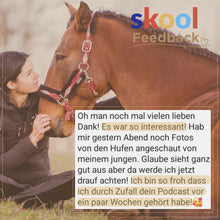 Laden Sie das Bild in den Galerie-Viewer, 🐎☯🥳 MEGA Doppel-Bundle: Skool-JAHRES-Zugang zur umfassenden Pferde-Plattform & Community & Online-Trainings-Intensivseminar Kreatives Balancetraining & Verladen inkl. GOLD-Coachingplatz 🎁