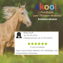 Laden Sie das Bild in den Galerie-Viewer, 🐎☯🥳 MEGA Doppel-Bundle: Skool-JAHRES-Zugang zur umfassenden Pferde-Plattform & Community & Online-Trainings-Intensivseminar Kreatives Balancetraining & Verladen inkl. GOLD-Coachingplatz 🎁