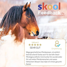Laden Sie das Bild in den Galerie-Viewer, 🐎☯🥳 MEGA Doppel-Bundle: Skool-JAHRES-Zugang zur umfassenden Pferde-Plattform & Community & Online-Trainings-Intensivseminar Kreatives Balancetraining & Verladen inkl. GOLD-Coachingplatz 🎁