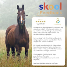 Laden Sie das Bild in den Galerie-Viewer, 🐎☯🥳 MEGA Doppel-Bundle: Skool-JAHRES-Zugang zur umfassenden Pferde-Plattform & Community & Online-Trainings-Intensivseminar Kreatives Balancetraining & Verladen inkl. GOLD-Coachingplatz 🎁