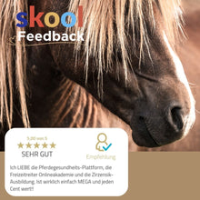Laden Sie das Bild in den Galerie-Viewer, 🐎☯🥳 MEGA Doppel-Bundle: Skool-JAHRES-Zugang zur umfassenden Pferde-Plattform & Community & Online-Trainings-Intensivseminar Kreatives Balancetraining & Verladen inkl. GOLD-Coachingplatz 🎁