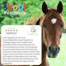 Laden Sie das Bild in den Galerie-Viewer, 🐎☯🥳 MEGA Doppel-Bundle: Skool-JAHRES-Zugang zur umfassenden Pferde-Plattform & Community & Online-Trainings-Intensivseminar Kreatives Balancetraining & Verladen inkl. GOLD-Coachingplatz 🎁