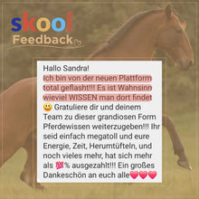 Laden Sie das Bild in den Galerie-Viewer, 🐎☯🥳 MEGA Doppel-Bundle: Skool-JAHRES-Zugang zur umfassenden Pferde-Plattform & Community & Online-Trainings-Intensivseminar Kreatives Balancetraining & Verladen inkl. GOLD-Coachingplatz 🎁