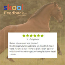 Laden Sie das Bild in den Galerie-Viewer, 🐎☯🥳 MEGA Doppel-Bundle: Skool-JAHRES-Zugang zur umfassenden Pferde-Plattform & Community & Online-Trainings-Intensivseminar Kreatives Balancetraining & Verladen inkl. GOLD-Coachingplatz 🎁