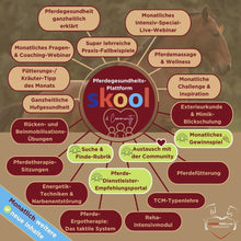 Laden Sie das Bild in den Galerie-Viewer, 🐎☯🥳 MEGA Doppel-Bundle: Skool-JAHRES-Zugang zur umfassenden Pferde-Plattform & Community & Online-Trainings-Intensivseminar Kreatives Balancetraining & Verladen inkl. GOLD-Coachingplatz 🎁
