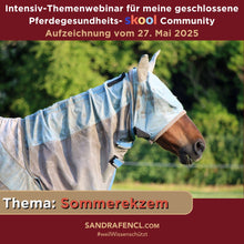 Laden Sie das Bild in den Galerie-Viewer, 🐎☯🥳 MEGA Doppel-Bundle: Skool-JAHRES-Zugang zur umfassenden Pferde-Plattform & Community & Online-Trainings-Intensivseminar Kreatives Balancetraining & Verladen inkl. GOLD-Coachingplatz 🎁