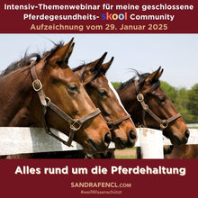 Laden Sie das Bild in den Galerie-Viewer, 🎁🐎🔥 3er Special: Monats-Zugang Pferdegesundheits-Plattform, Webinare & Handpferde-Kurs🐎💕
