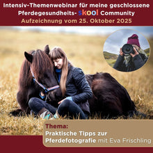 Laden Sie das Bild in den Galerie-Viewer, 🐎☯🥳 MEGA Doppel-Bundle: Skool-JAHRES-Zugang zur umfassenden Pferde-Plattform & Community & Online-Trainings-Intensivseminar Kreatives Balancetraining & Verladen inkl. GOLD-Coachingplatz 🎁