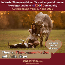 Laden Sie das Bild in den Galerie-Viewer, 🐎☯🥳 MEGA Doppel-Bundle: Skool-JAHRES-Zugang zur umfassenden Pferde-Plattform & Community & Online-Trainings-Intensivseminar Kreatives Balancetraining & Verladen inkl. GOLD-Coachingplatz 🎁