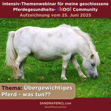 Laden Sie das Bild in den Galerie-Viewer, 🐎☯🥳 MEGA Doppel-Bundle: Skool-JAHRES-Zugang zur umfassenden Pferde-Plattform & Community & Online-Trainings-Intensivseminar Kreatives Balancetraining & Verladen inkl. GOLD-Coachingplatz 🎁