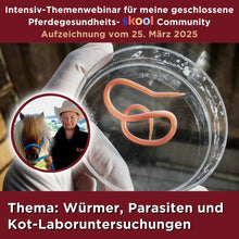 Laden Sie das Bild in den Galerie-Viewer, 🐎☯🥳 MEGA Doppel-Bundle: Skool-JAHRES-Zugang zur umfassenden Pferde-Plattform & Community & Online-Trainings-Intensivseminar Kreatives Balancetraining & Verladen inkl. GOLD-Coachingplatz 🎁