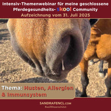 Laden Sie das Bild in den Galerie-Viewer, 🐎☯🥳 MEGA Doppel-Bundle: Skool-JAHRES-Zugang zur umfassenden Pferde-Plattform & Community & Online-Trainings-Intensivseminar Kreatives Balancetraining & Verladen inkl. GOLD-Coachingplatz 🎁
