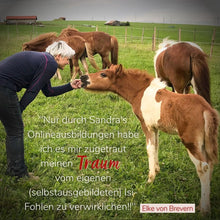 Laden Sie das Bild in den Galerie-Viewer, 🐎 ✨ Freizeitreiter-Online-Akademie 3.0: SELBSTLERN-Edition