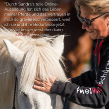 Laden Sie das Bild in den Galerie-Viewer, 🐎 ✨ Freizeitreiter-Online-Akademie 3.0: SELBSTLERN-Edition