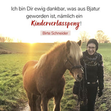 Laden Sie das Bild in den Galerie-Viewer, 🐎😍 Neue gesundheitsfördernde Gangpferde Online-Ausbildung ✨