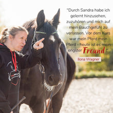 Laden Sie das Bild in den Galerie-Viewer, 🐎 ✨ Freizeitreiter-Online-Akademie 3.0: SELBSTLERN-Edition