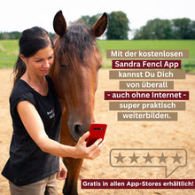 Laden Sie das Bild in den Galerie-Viewer, 🐎🎉💖 Doppel-Bundle: Ganzheitliches Bodenarbeits-Intensiv-Onlineseminar & 6 Monate Skool-Gesundheit ☯🎁 SILBER-Coaching-Edition ✨