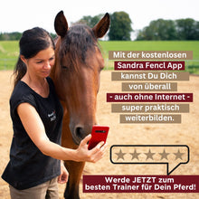 Laden Sie das Bild in den Galerie-Viewer, 🐎😍 Neue gesundheitsfördernde Gangpferde Online-Ausbildung ✨