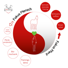 Laden Sie das Bild in den Galerie-Viewer, 🐎🎉💖 Doppel-Bundle: Ganzheitliches Bodenarbeits-Intensiv-Onlineseminar & 6 Monate Skool-Gesundheit ☯🎁 SILBER-Coaching-Edition ✨