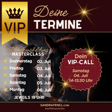 Laden Sie das Bild in den Galerie-Viewer, 🐎👑 VIP-TICKET: Pferdeausbildung MASTERCLASS inkl. LIVE-Coaching, Blickschulung & Skool-Pferdeplattform
