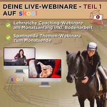 Laden Sie das Bild in den Galerie-Viewer, 🐎😍 Neue gesundheitsfördernde Gangpferde Online-Ausbildung ✨