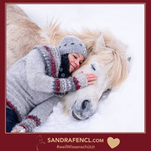 Laden Sie das Bild in den Galerie-Viewer, 🐎😍 Neue gesundheitsfördernde Gangpferde Online-Ausbildung ✨