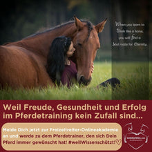 Laden Sie das Bild in den Galerie-Viewer, 🐎 ✨ Freizeitreiter-Online-Akademie 3.0: SELBSTLERN-Edition
