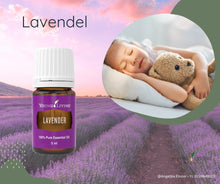 Laden Sie das Bild in den Galerie-Viewer, Young Living "Lavendel" ätherische Ölmischung 15ml