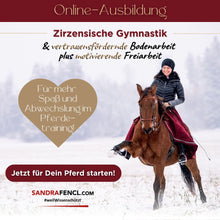 Laden Sie das Bild in den Galerie-Viewer, 🐎✨ Online-Ausbildung in zirzensischer Gymnastik - Silber-Geschenk-EDITION 🎁✨