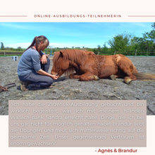 Laden Sie das Bild in den Galerie-Viewer, 🐎✨ Online-Ausbildung in zirzensischer Gymnastik - Silber-Geschenk-EDITION 🎁✨