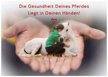 Laden Sie das Bild in den Galerie-Viewer, 🐎✨ Online-Ausbildung in zirzensischer Gymnastik - Silber-Geschenk-EDITION 🎁✨